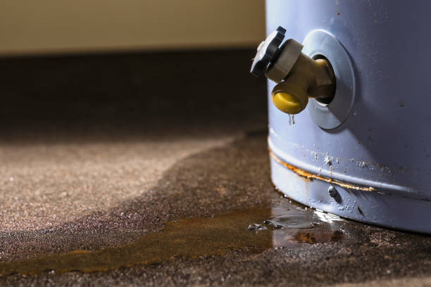 Best Residential water damage restoration  in Gravette, AR