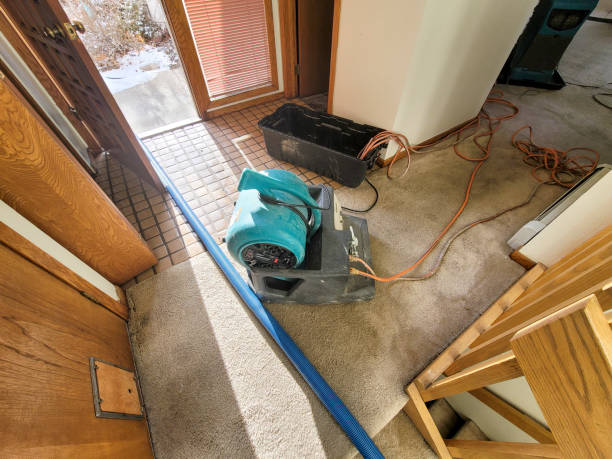 Best Ceiling water damage repair  in Gravette, AR