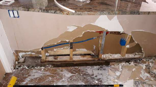 Best Local water damage restoration  in Gravette, AR