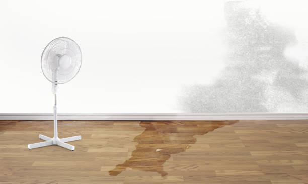 Best Water damage contractors near me  in Gravette, AR