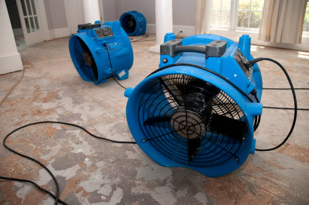 Best Carpet water damage restoration  in Gravette, AR